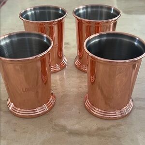 Louisville Copper Finish Stainless Steel Tumblers Set of Four